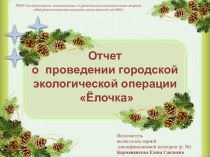 Отчет о проведении городской экологической операции Ёлочка презентация