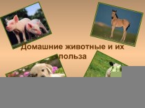 Презентация Домашние животные и их польза презентация по окружающему миру