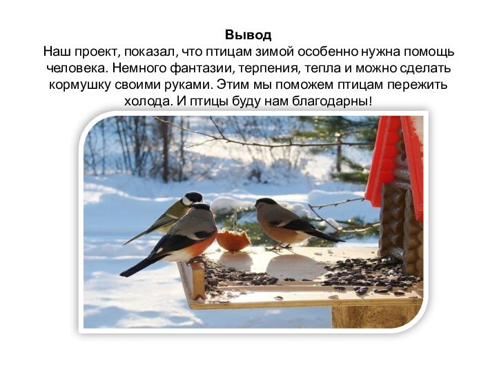 Вывод  Наш проект, показал, что птицам зимой особенно нужна помощь человека. Немного