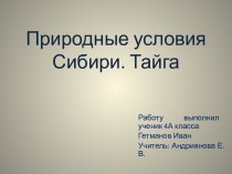 Природные условия Сибири. Тайга презентация к уроку по окружающему миру (4 класс)