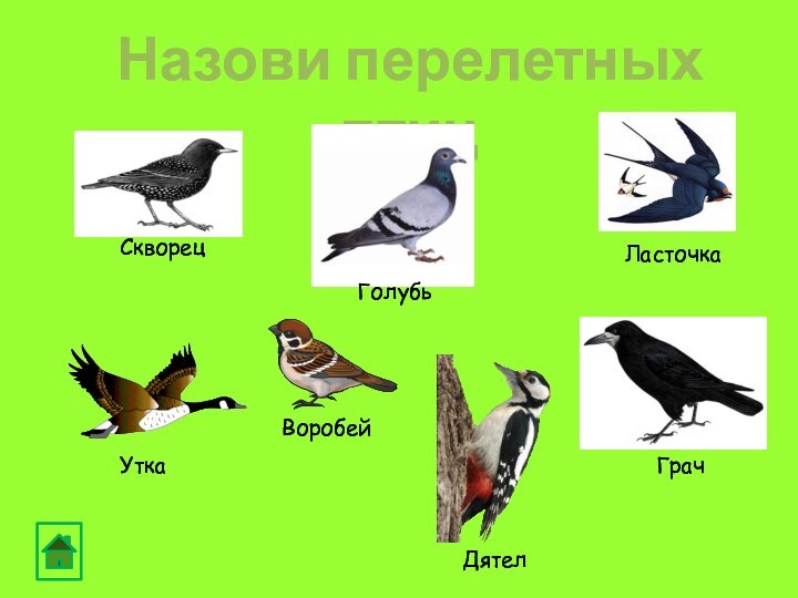 Назови перелетных птиц