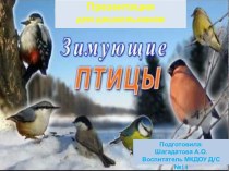 Презентация по лексической теме Зимующие птицы презентация к уроку (старшая группа)
