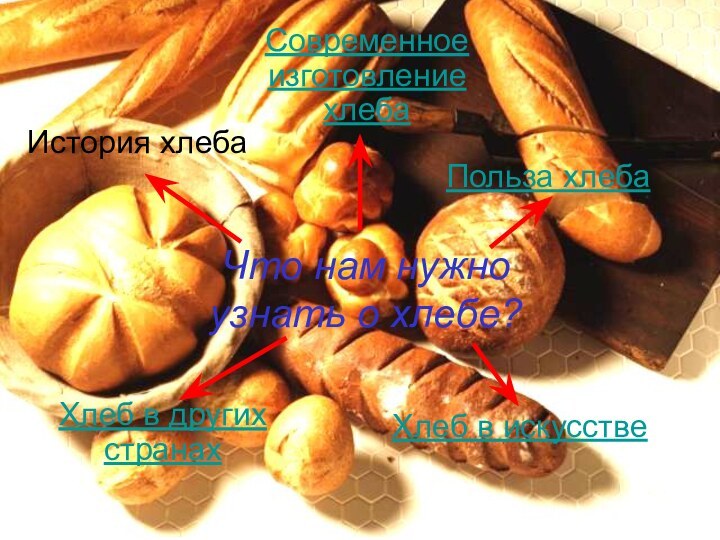 Что нам нужно узнать о хлебе?История хлебаСовременное изготовление хлебаПольза хлебаХлеб в других странахХлеб в искусстве