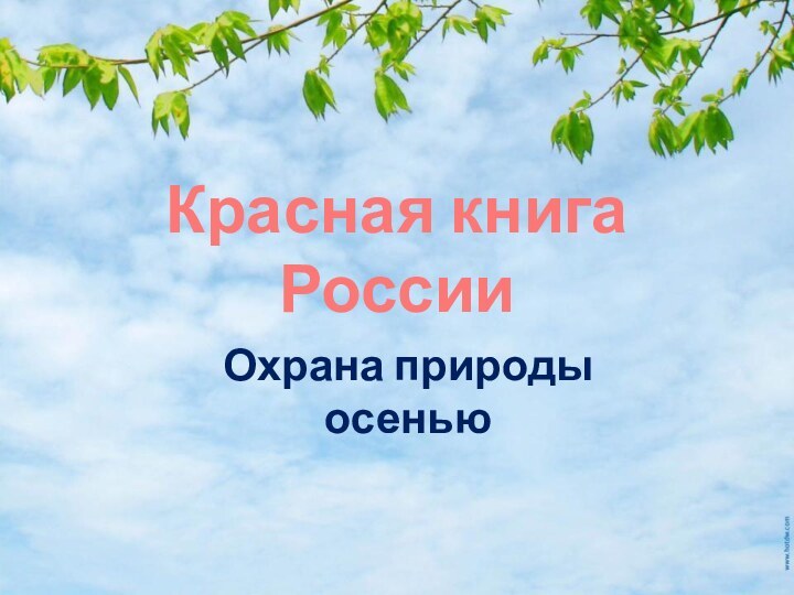 Красная книга РоссииОхрана природы осенью