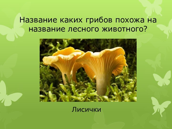 Название каких грибов похожа на название лесного животного?Лисички