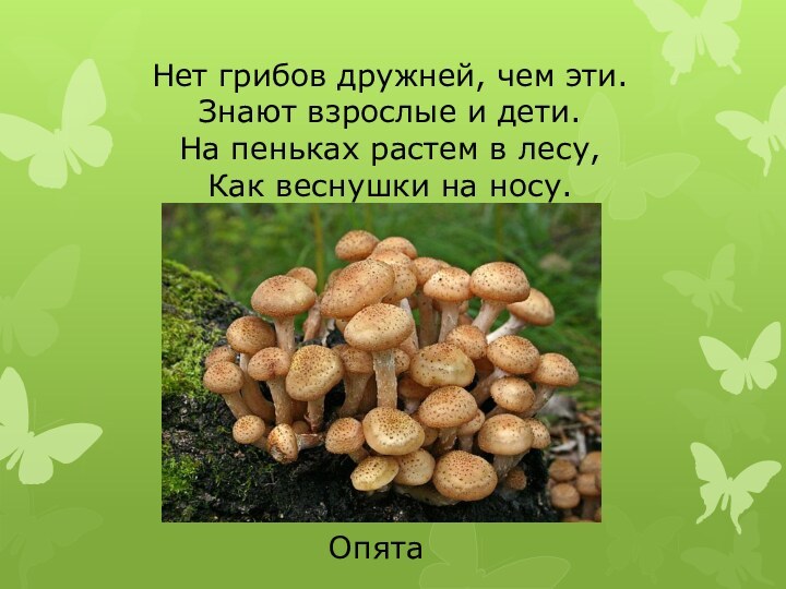 Нет грибов дружней, чем эти.Знают взрослые и дети.На пеньках растем в лесу,Как веснушки на носу. Опята