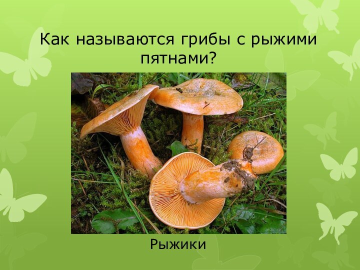 РыжикиКак называются грибы с рыжими пятнами?