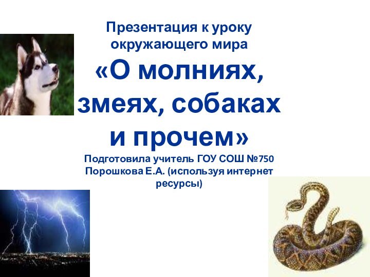 Презентация к уроку окружающего мира «О молниях, змеях, собаках и прочем»Подготовила учитель