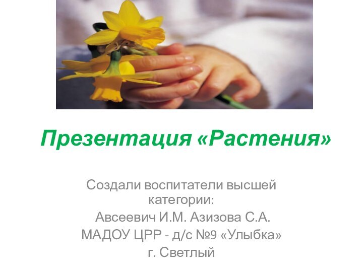 Презентация «Растения»Создали воспитатели высшей категории: Авсеевич И.М. Азизова С.А. МАДОУ ЦРР -