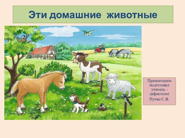 Эти домашние животныеПрезентацию подготовил учитель - дефектолог Пучко С.В.
