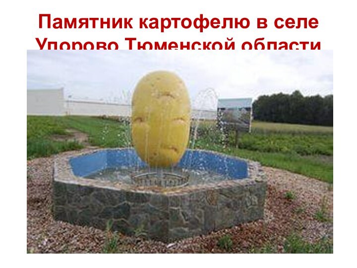 Памятник картофелю в селе Упорово Тюменской области