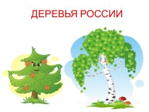 Презентация  Деревья России презентация к уроку по окружающему миру (старшая группа)