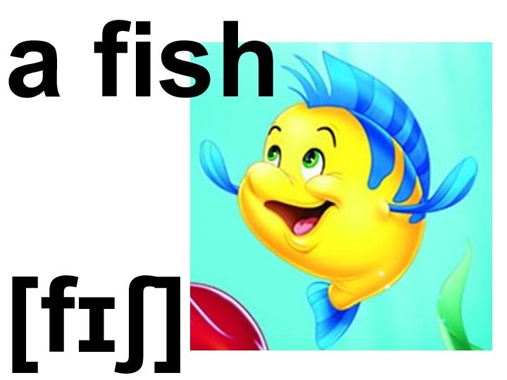 a fish[fɪʃ]