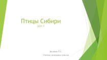 Презентация Птицы Сибири (1 урок) материал по окружающему миру (3 класс)