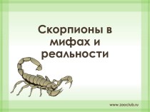 Скорпионы в мифах и реальности