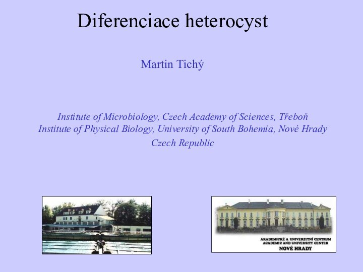 Diferenciace heterocyst  Martin Tichý Martin Tichý Institute of Microbiology, Czech