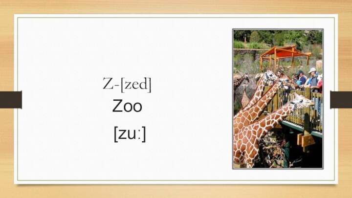 Z-[zed]Zoo [zuː]