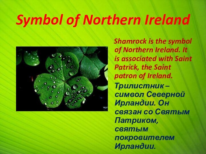 Symbol of Northern Ireland  Shamrock is the symbol of Northern Ireland.