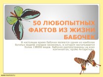 50 интересных фактов о бабочках
