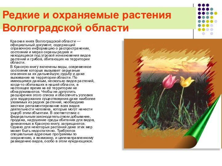 Редкие и охраняемые растения Волгоградской области     Красная книга