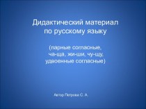 Дидактический материал по русскому языку (парные согласные, ча-ща, жи-ши, чу-щу, удвоенные согласные)