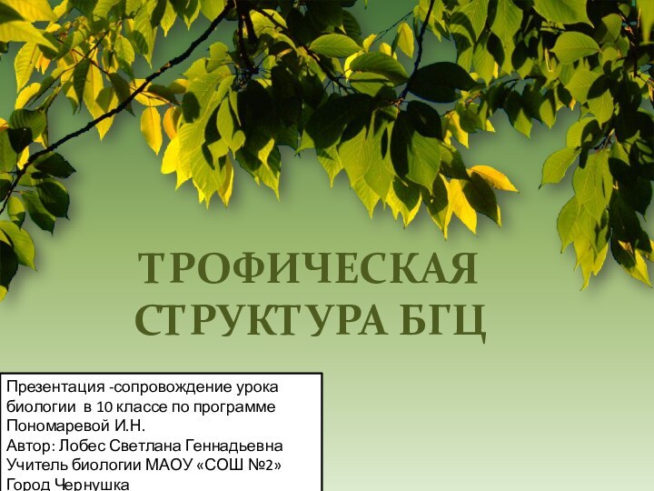 Трофическая структура БГЦПрезентация -сопровождение урока биологии в 10 классе по программе Пономаревой