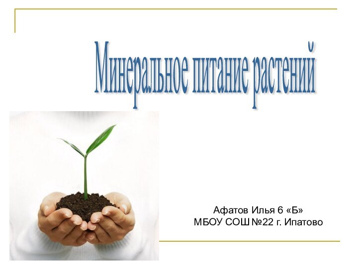 Минеральное питание растений Афатов Илья 6 «Б»МБОУ СОШ №22 г. Ипатово