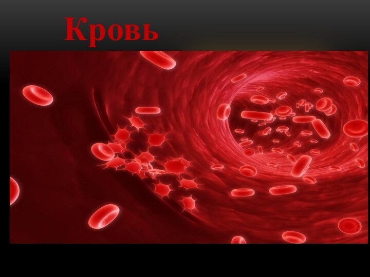 Кровь