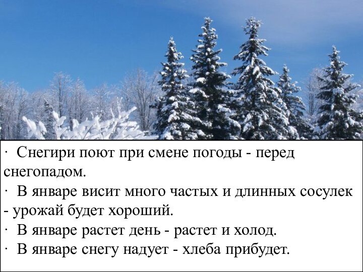 · Снегири поют при смене погоды - перед снегопадом. · В январе