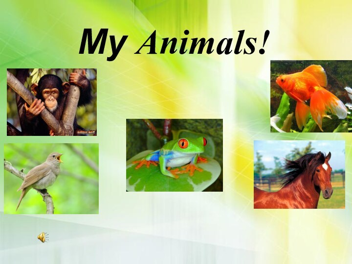 My Animals!