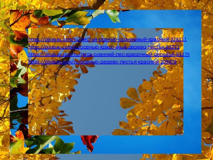 https://pixabay.com/ru/листья-осенью-оранжевый-красный-228111https://pixabay.com/ru/осенью-красочный-дерево-листья-63271https://pixabay.com/ru/леса-осенний-лес-красочный-деревья-63279https://pixabay.com/ru/осенью-дерево-листья-красный-209479