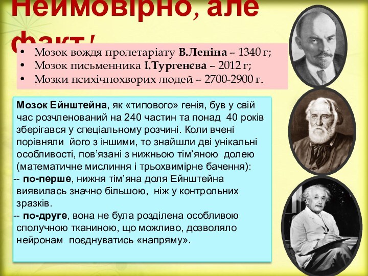 Неймовірно, але факт!Мозок вождя пролетаріату В.Леніна – 1340 г;Мозок письменника І.Тургенєва –