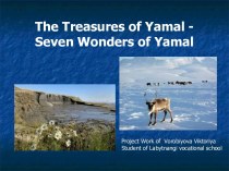 The Treasures of Yamal - Seven Wonders of Yamal