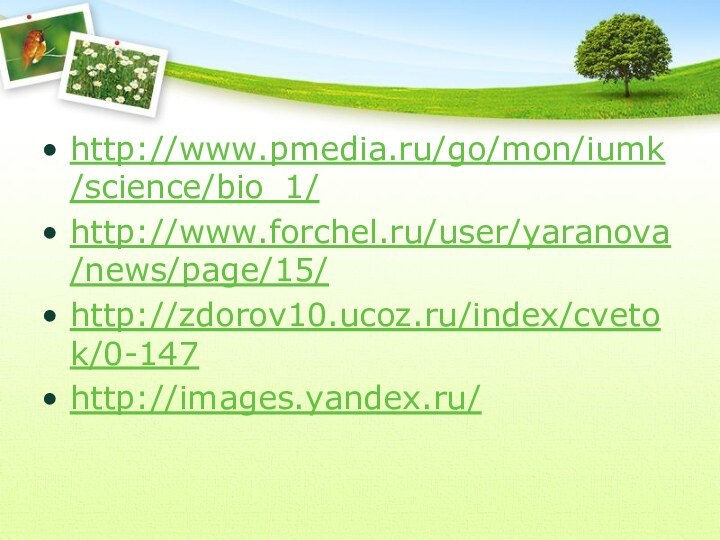http://www.pmedia.ru/go/mon/iumk/science/bio_1/http://www.forchel.ru/user/yaranova/news/page/15/http://zdorov10.ucoz.ru/index/cvetok/0-147http://images.yandex.ru/