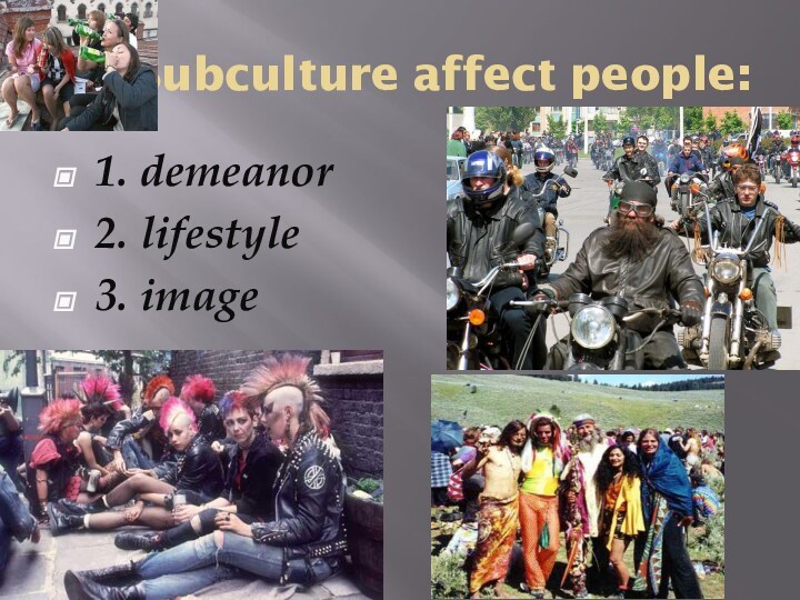Subculture affect people:1. demeanor2. lifestyle3. image