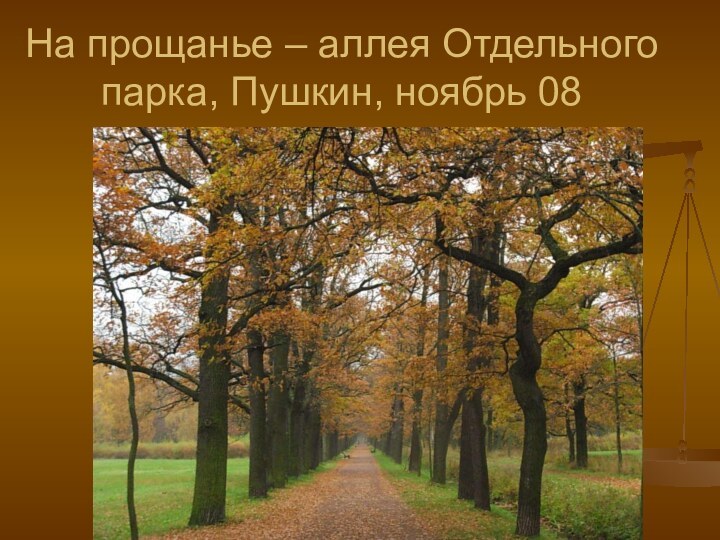На прощанье – аллея Отдельного парка, Пушкин, ноябрь 08
