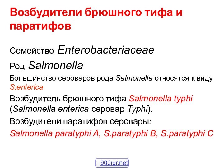 Возбудители брюшного тифа и паратифов Семейство Enterobacteriaceae Род Salmonella Большинство сероваров рода