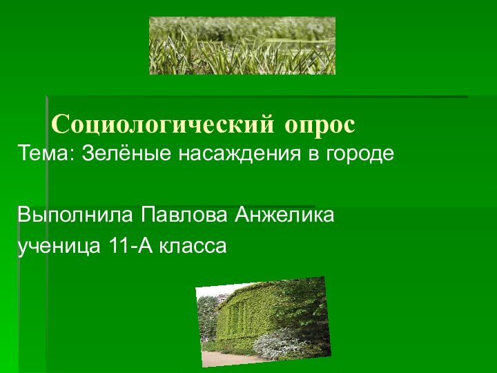 Социологический опросТема: Зелёные насаждения в городеВыполнила Павлова Анжелика ученица 11-А класса