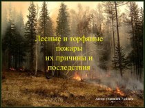 Лесные и торфяные пожары их причины и последствия