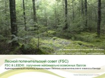 Лесной попечительский совет