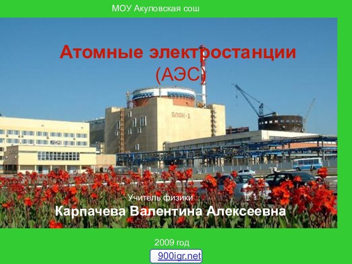 МОУ Акуловская сош2009 годАтомные электростанции  (АЭС)