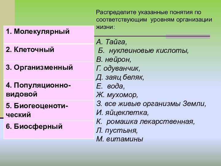Распределите указанные понятия по соответствующим уровням организации жизни:А. Тайга, Б. нуклеиновые кислоты,