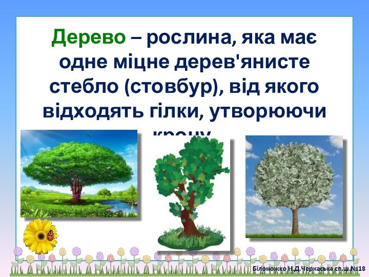 Дерево – рослина, яка має одне міцне дерев'янисте стебло (стовбур), від якого відходять гілки, утворюючи крону.