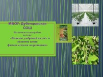 исследовательская работа по биологии на тему: Влияние минеральных удобрений на рост и развитие семян фасоли методом гидропоникой