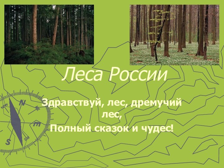 Леса РоссииЗдравствуй, лес, дремучий лес,Полный сказок и чудес!