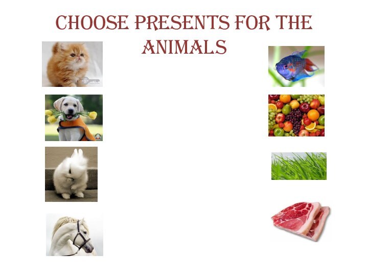 Choose presents for the animals