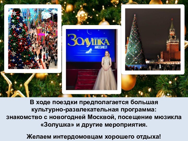 В ходе поездки предполагается большая культурно-развлекательная программа: знакомство с новогодней Москвой, посещение
