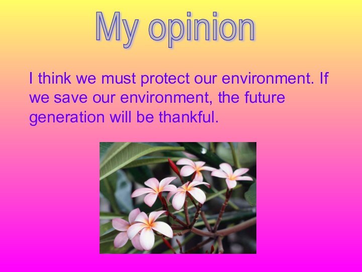 I think we must protect our environment. If we save