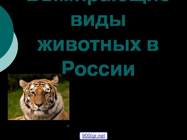 Вымирающие виды животных в России       Г.Орёл
