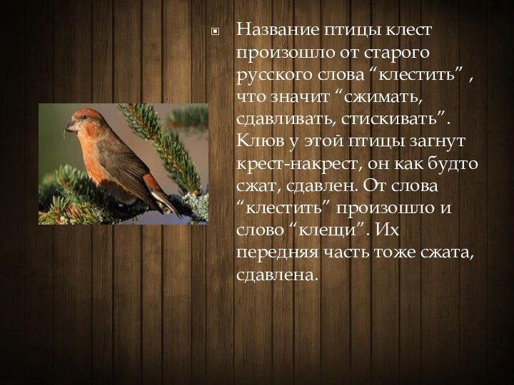Название птицы клест произошло от старого русского слова “клестить” , что значит